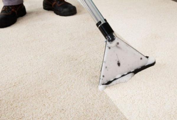How To Clean Polyester Carpet? Everything You Need To Know